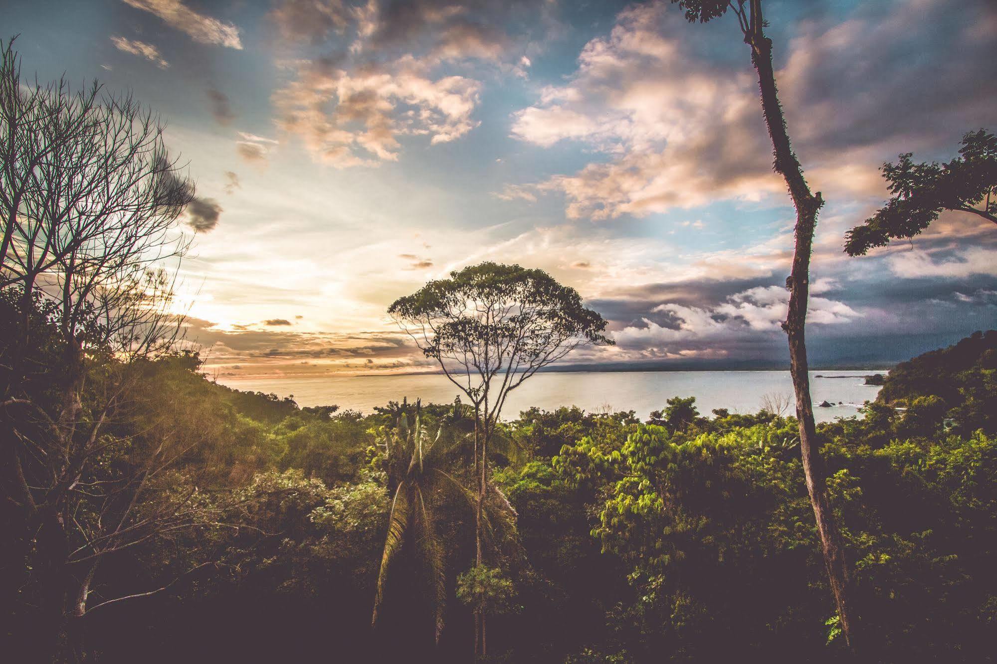 Issimo Suites Boutique Hotel & Spa - Adults Only Nationalpark Nationalpark Manuel Antonio Exterior foto